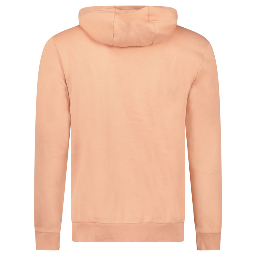 EA7 Emporio Armani Logo Print Hoodie in Cafe Creme