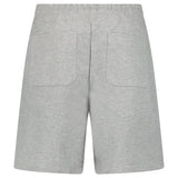 Aimé Leon Dore Logo Shorts in Heather Grey