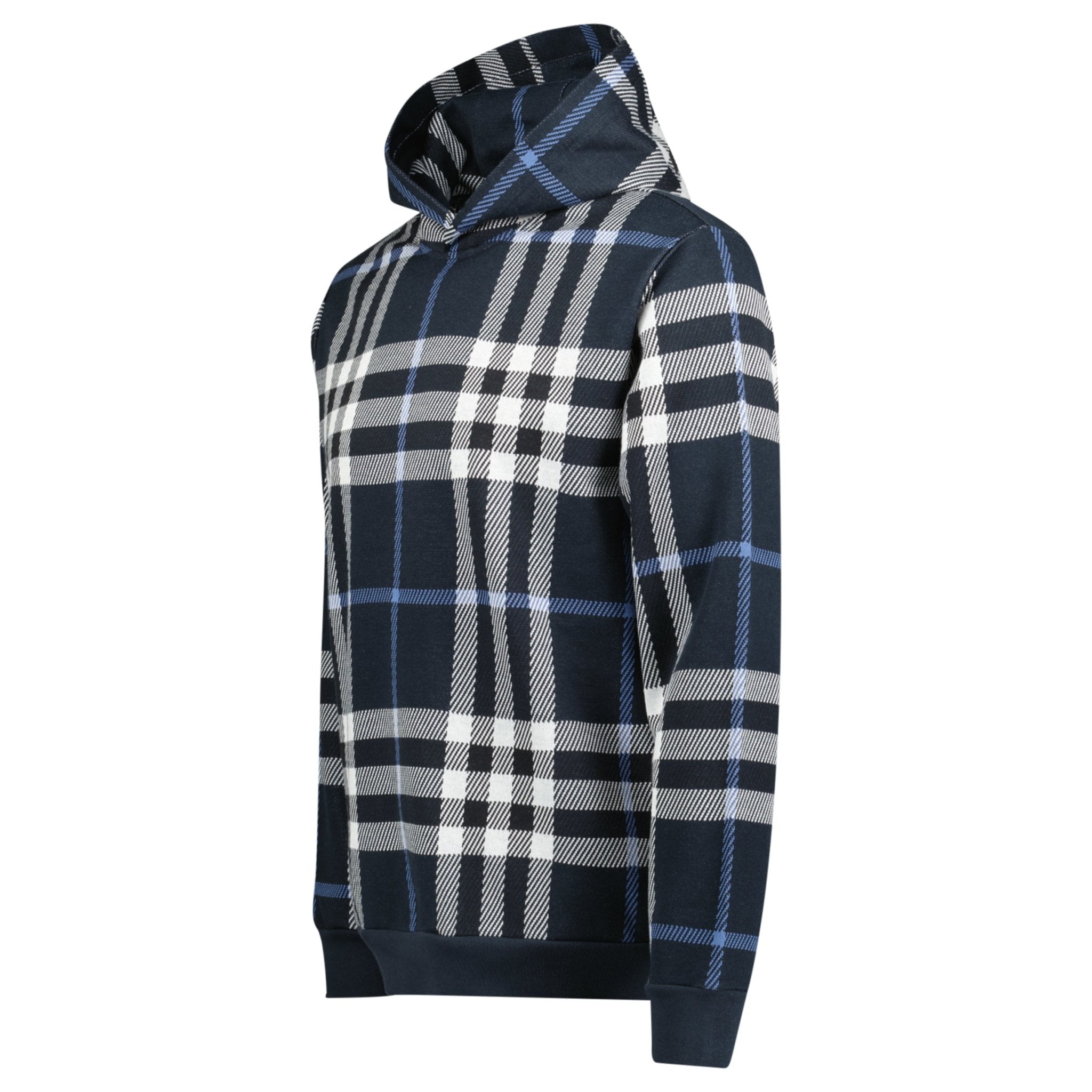 Burberry Ferryton Check Hoodie in Blue and White Outlet Sale Always Under Retail Boinclo